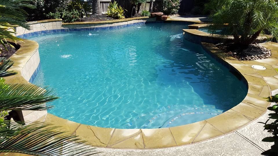 Curved backyard swimming pool with turquoise water, stone coping, and surrounding patio greenery