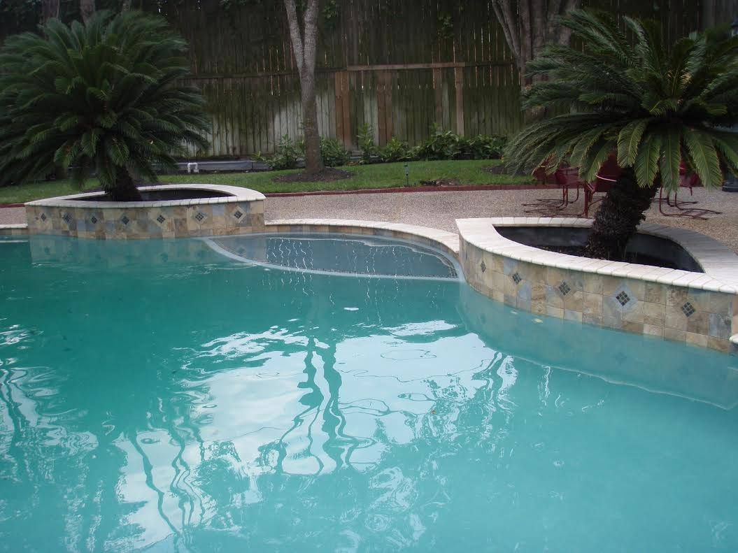 Backyard pool with turquoise water, curved stone edge, and palm planters by a garden wall