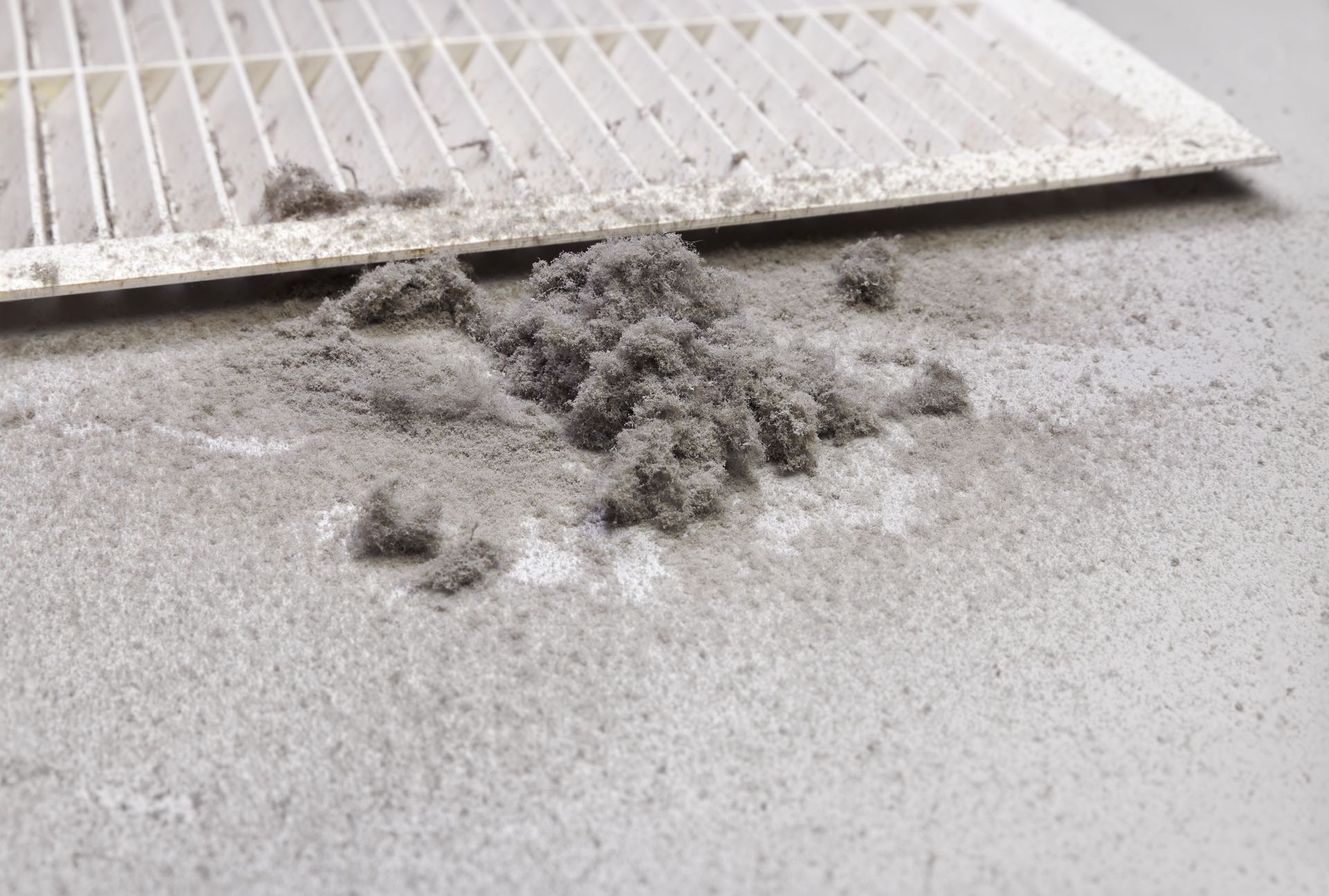 Dust collected from the air duct filter. Dust collected from the air duct filter.