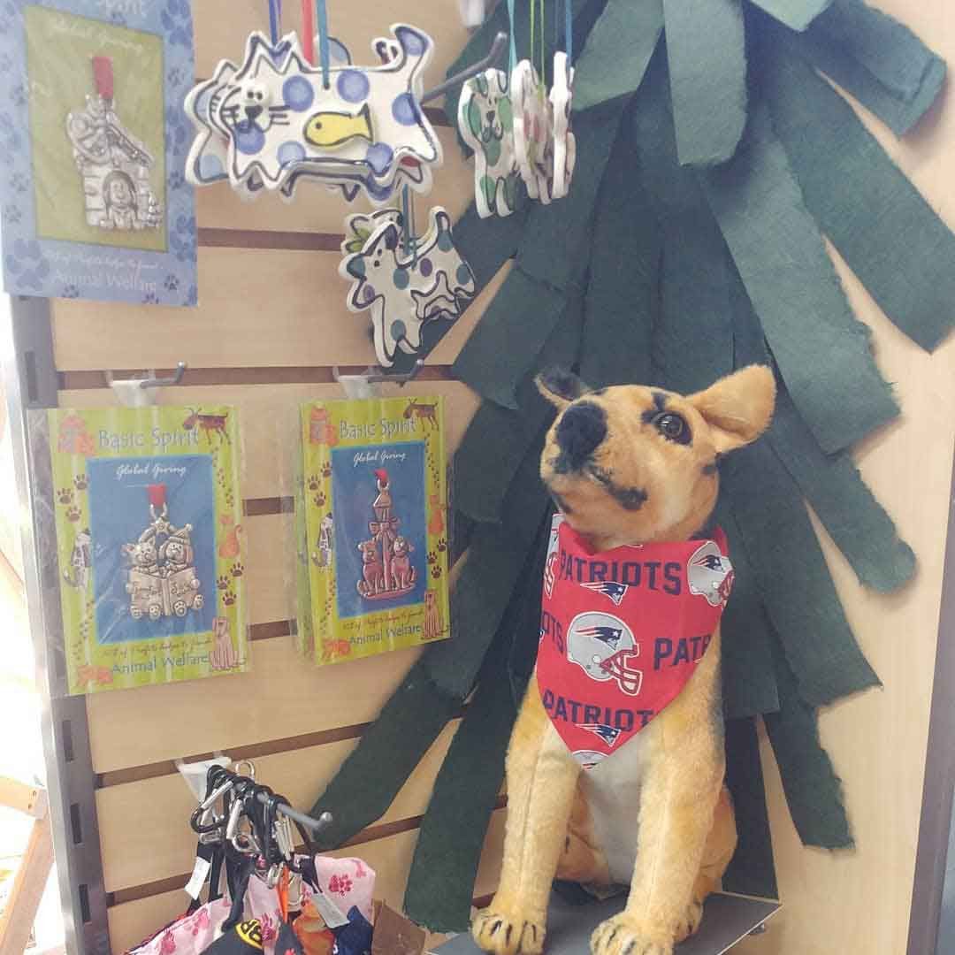 A stuffed dog wearing a bandana that says patriots on it