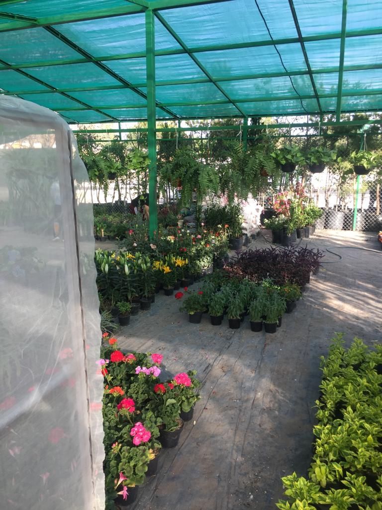 VIVERO SAN GIL