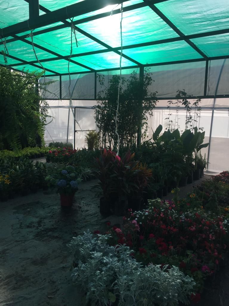 VIVERO SAN GIL