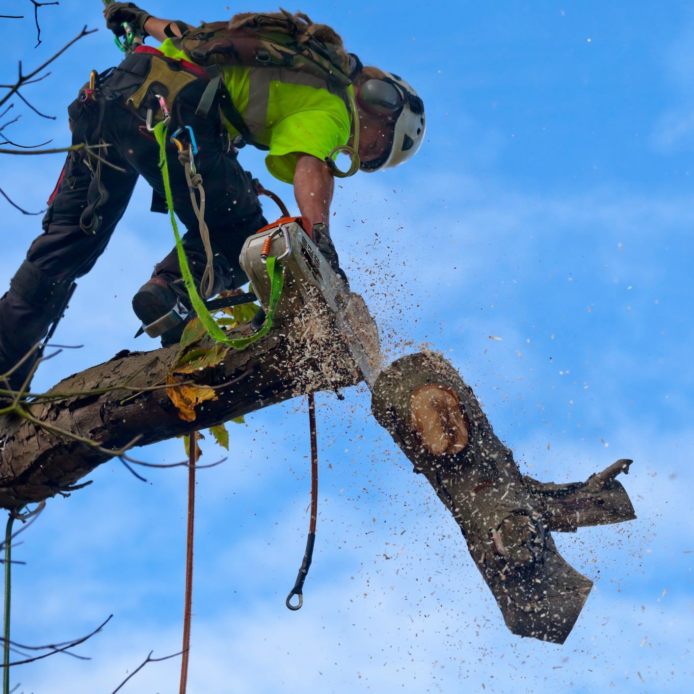 A person is cutting a tree branch with a chainsaw A person is cutting a tree branch with a chainsaw