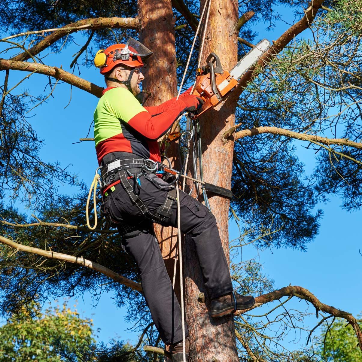 A man is cutting a tree branch with a chainsaw.