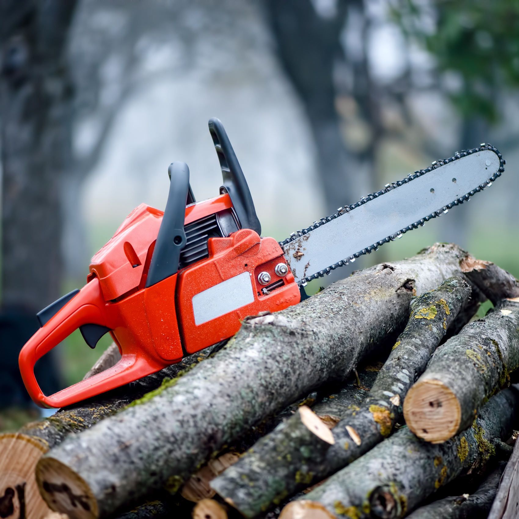 A chainsaw is sitting on top of a pile of logs. A chainsaw is sitting on top of a pile of logs.