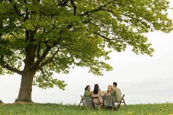 iStock_000062829882_Large