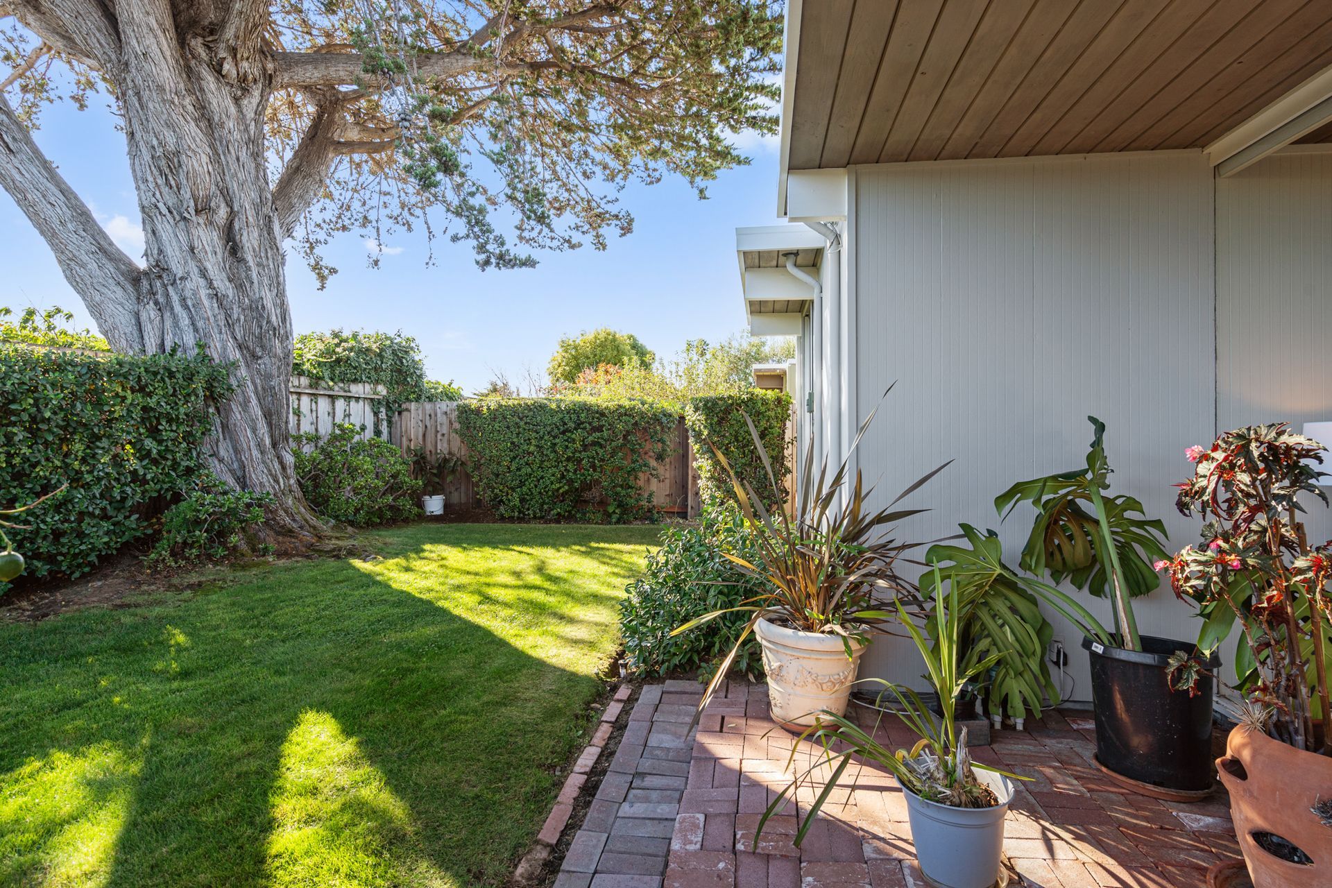 A patio with potted plants and a tree in the backyard of a house.