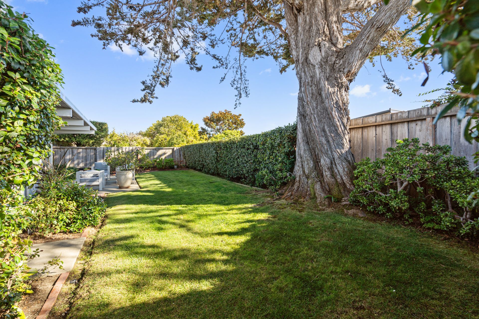 There is a large tree in the middle of the backyard.