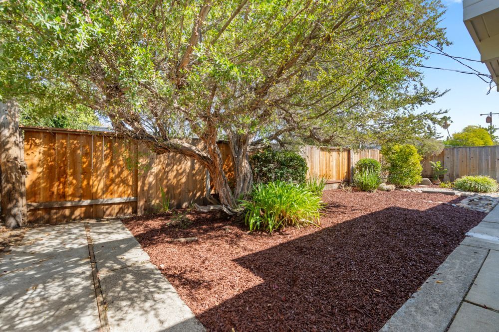 Private backyard with patio and garden vignettes, presented by Rumana Jabeen & Associates to illustrate lifestyle buyers seek and sellers can confidently showcase.