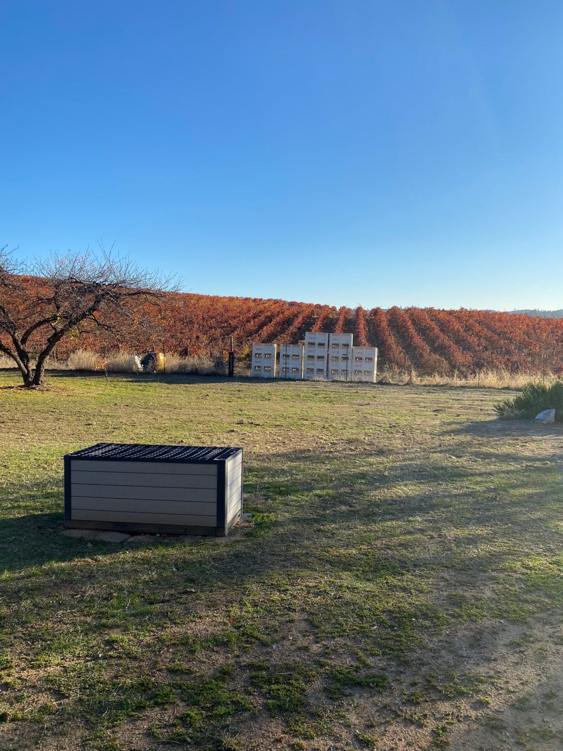 A wooden box is sitting in the middle of a grassy field.