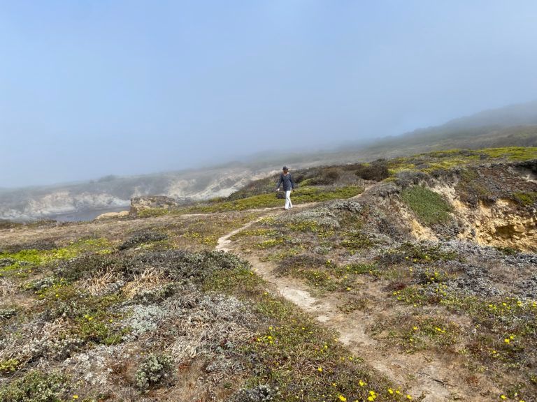 A person is walking on a path on top of a hill.