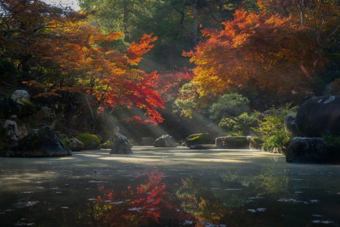 The sun is shining through the trees and reflected in the water.