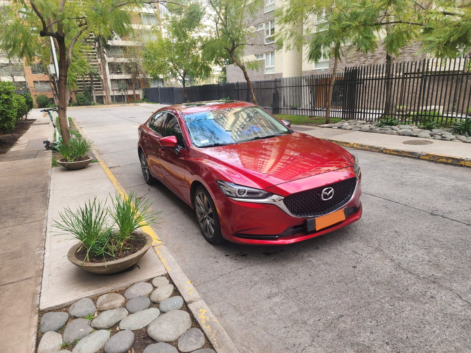 Un sedán Mazda rojo estacionado en una calle asfaltada junto a una acera con pequeñas jardineras y árboles.