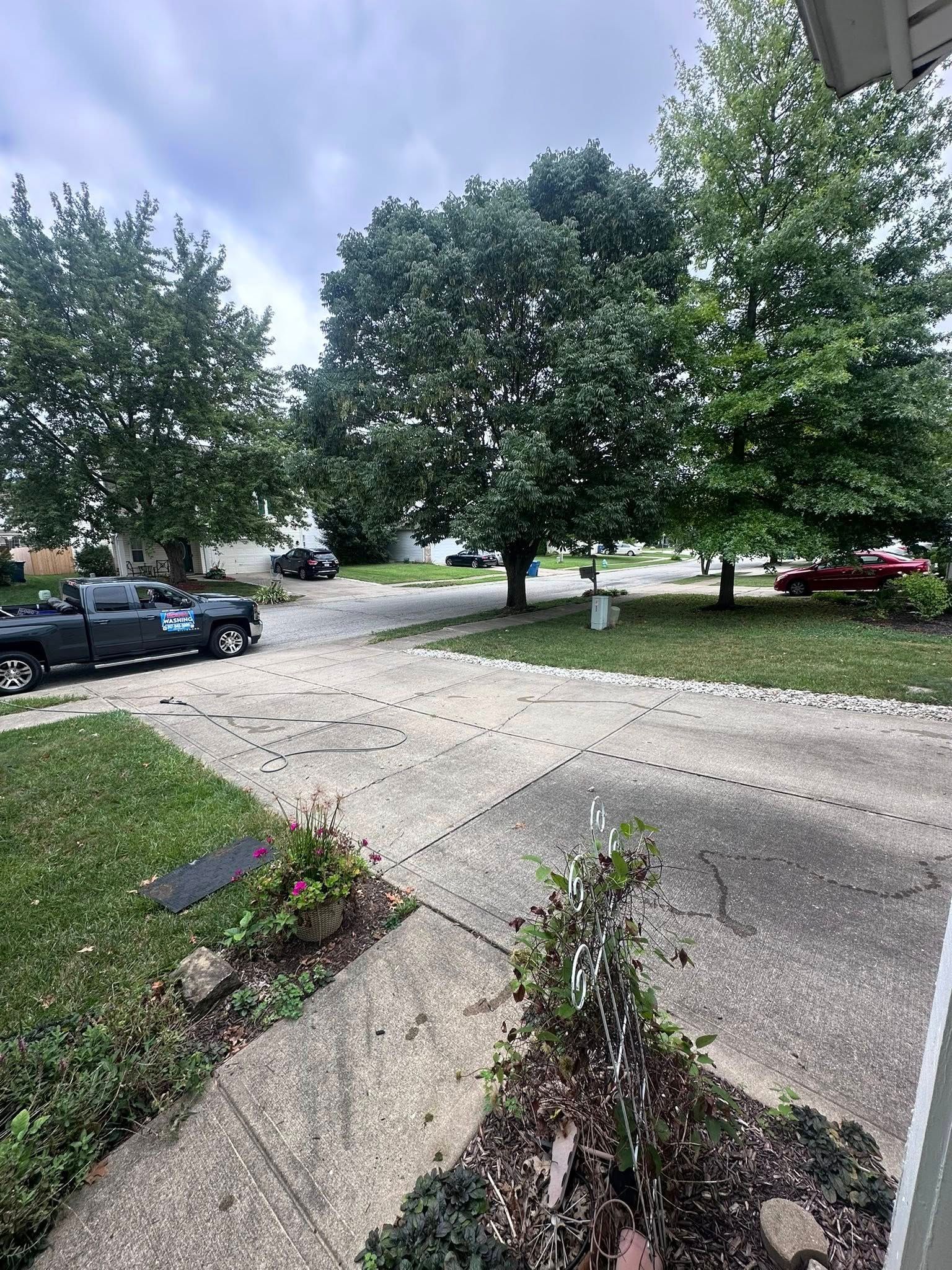 Quiet residential street with large trees, parked cars, and a cracked sidewalk after rain.