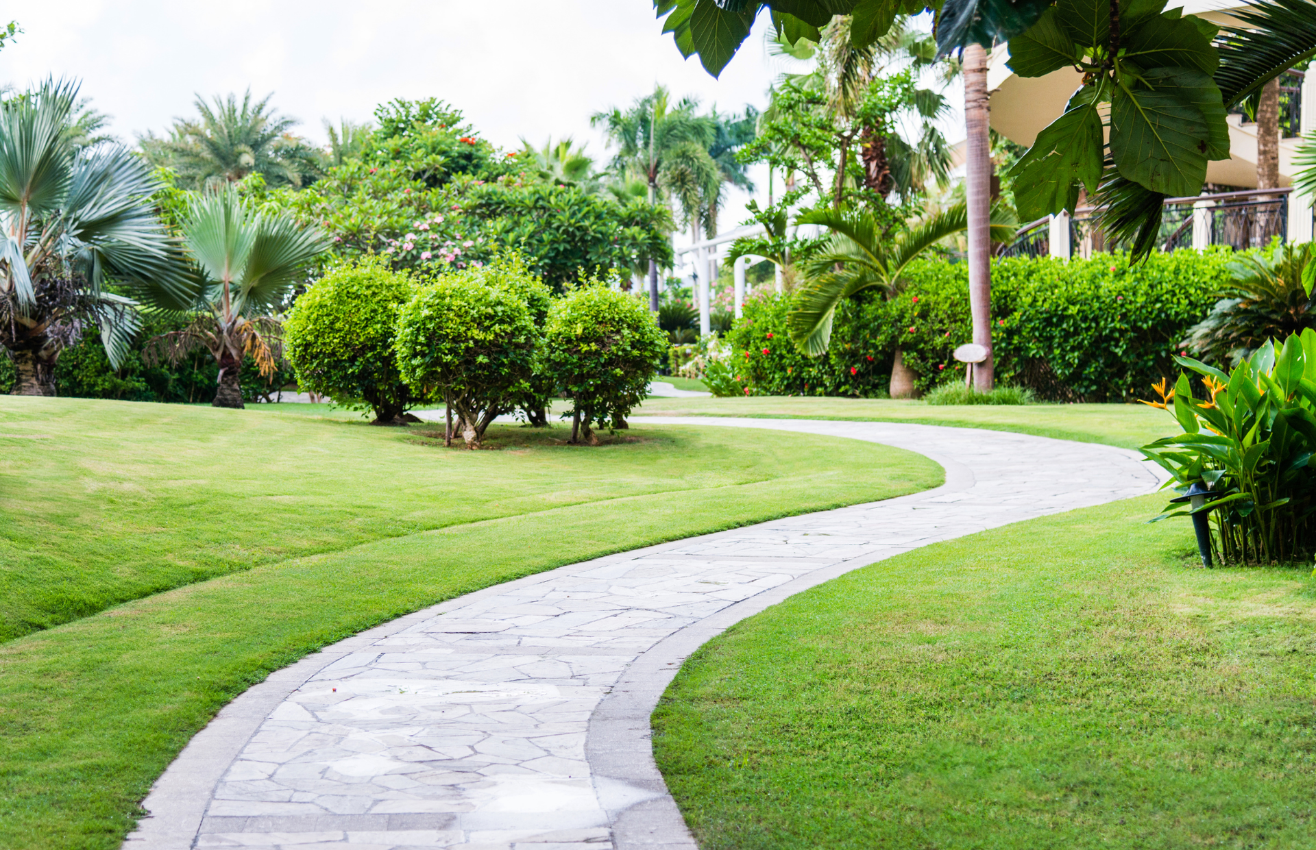 Curving stone path through a lush green garden with palm trees and shrubs