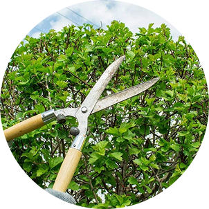 commercial landscaping Birmingham