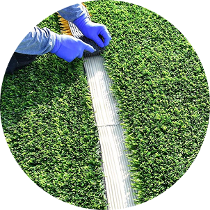 commercial landscaping Birmingham