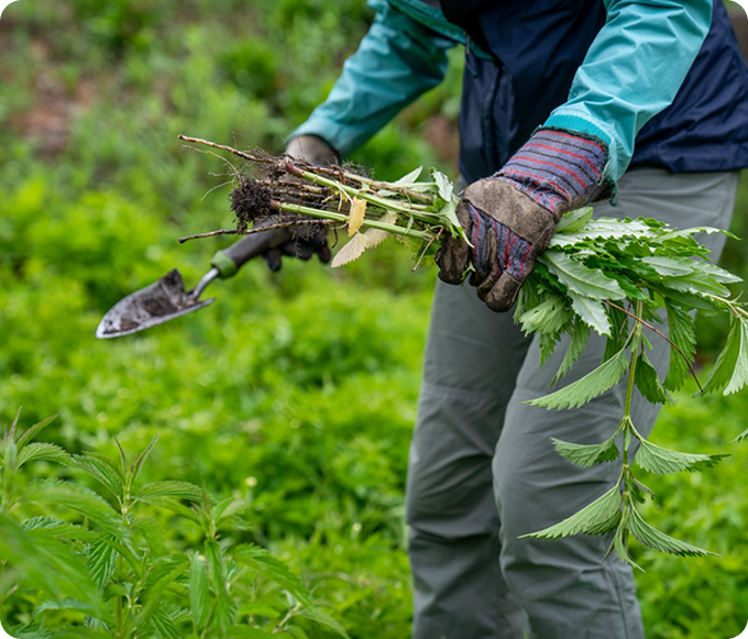 commercial landscaping Birmingham