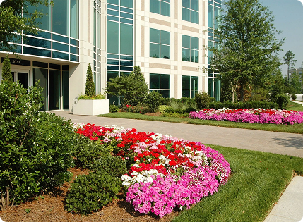 institutional facility cleaning