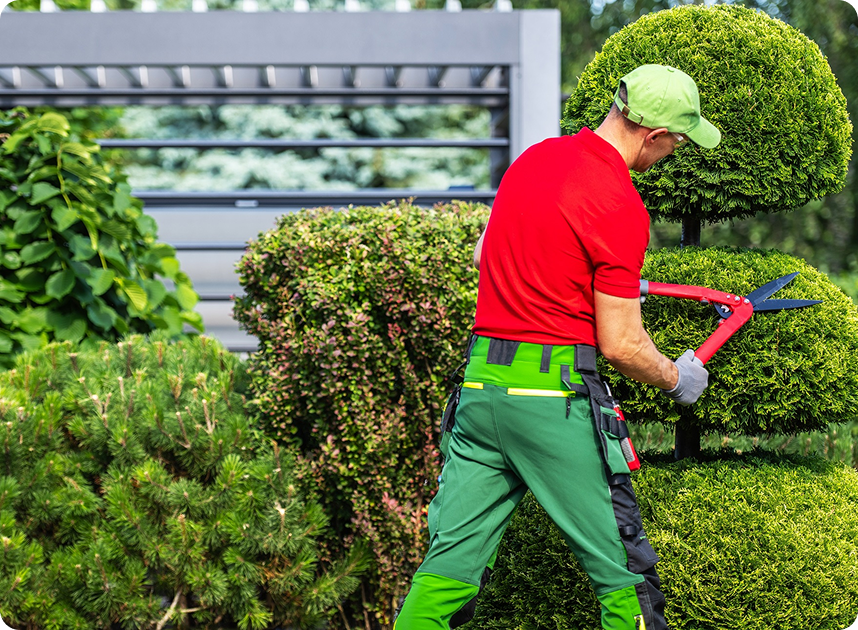 residential landscaping Birmingham