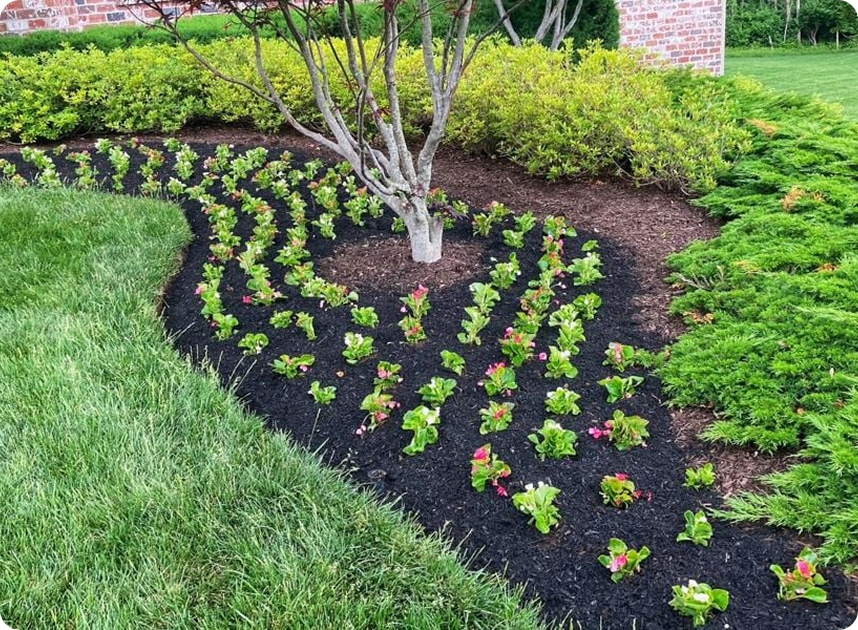 residential landscaping Birmingham
