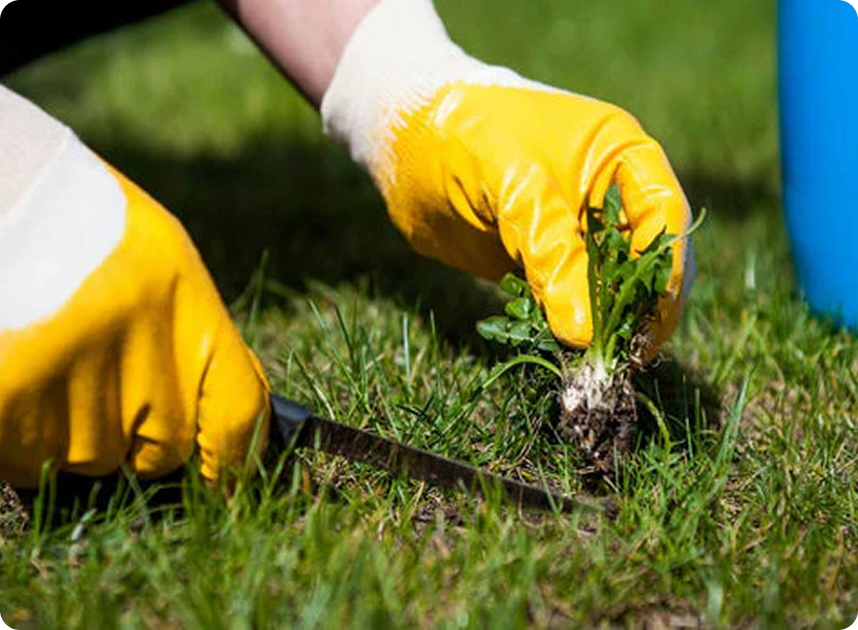 residential landscaping Birmingham