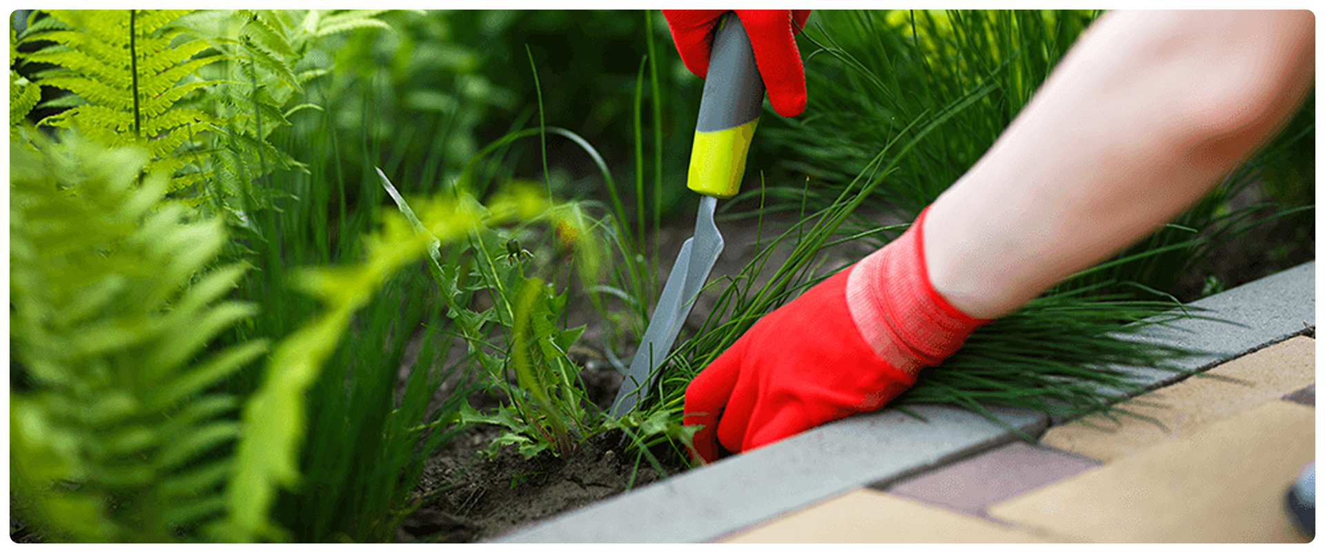 residential landscaping Birmingham