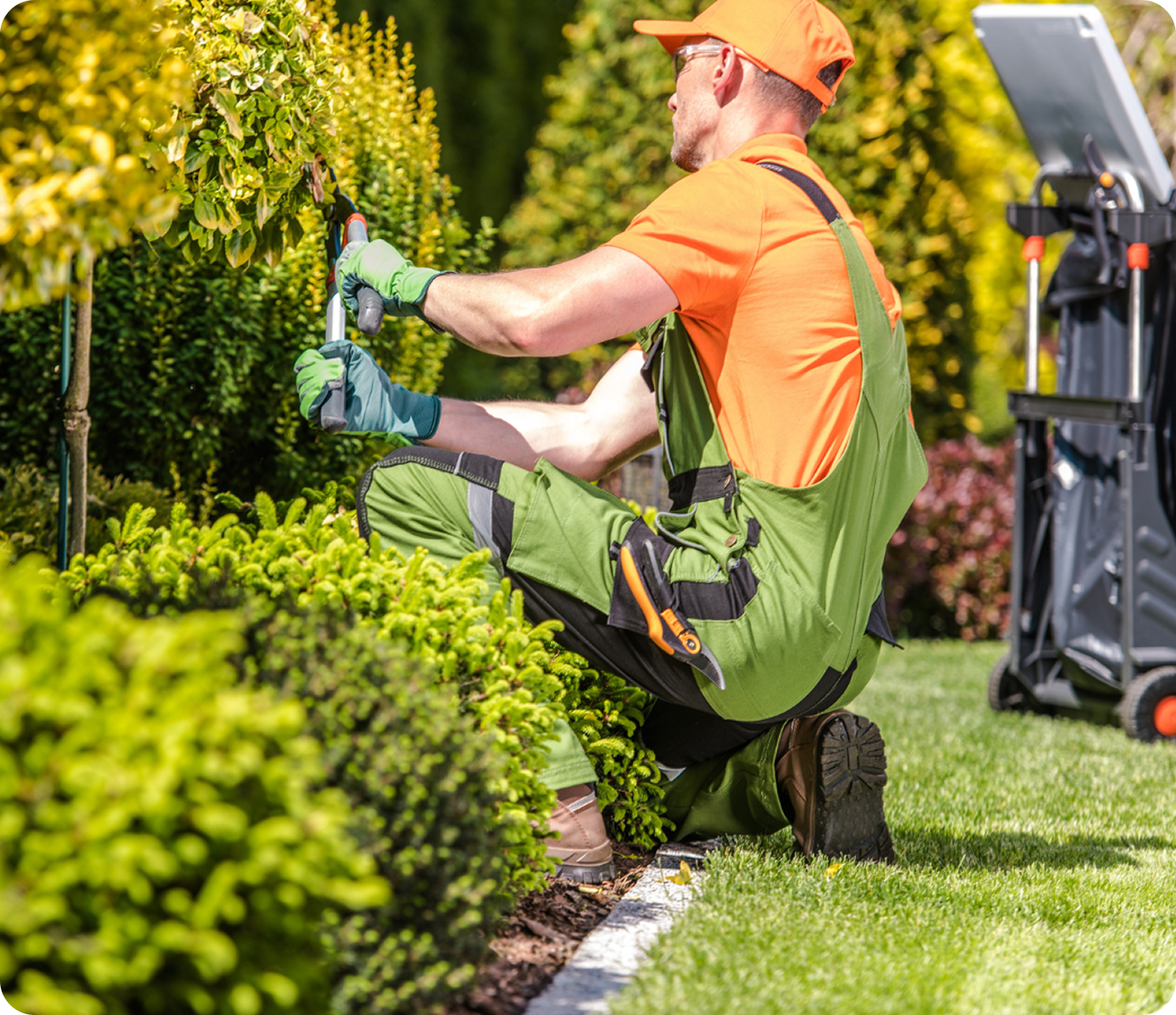 residential landscaping Birmingham