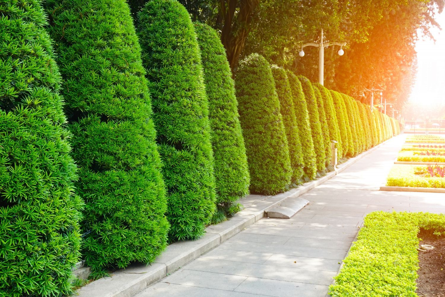 commercial landscaping