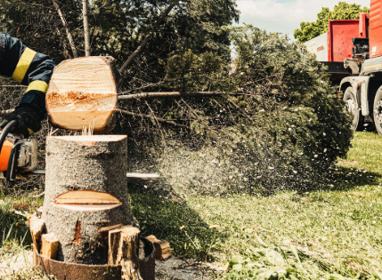 commercial tree removal Birmingham