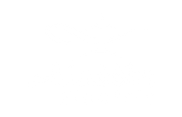 Aladdin Electric