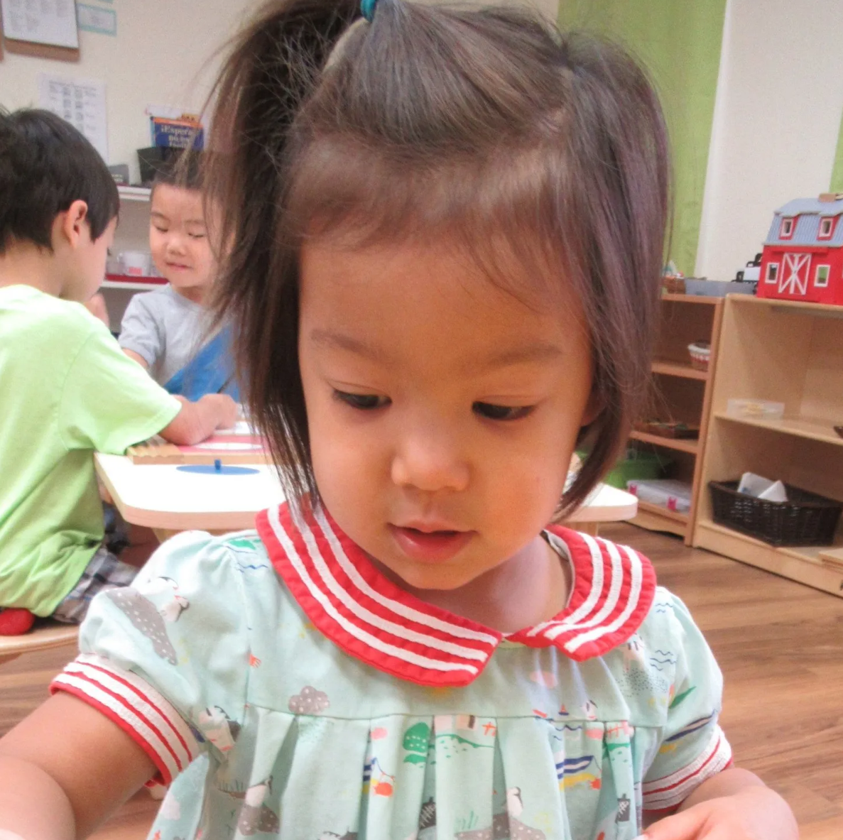 lakecreek-montessori-international-school