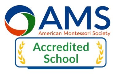 AMS Logo