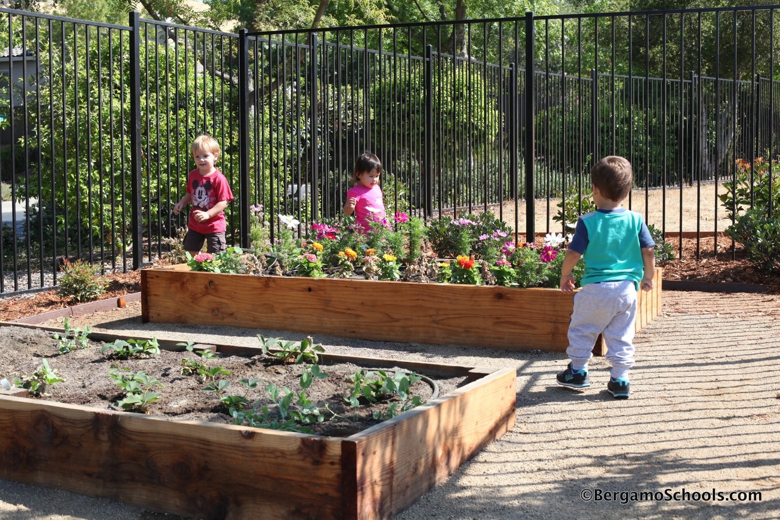 lakecreek-montessori-international-school