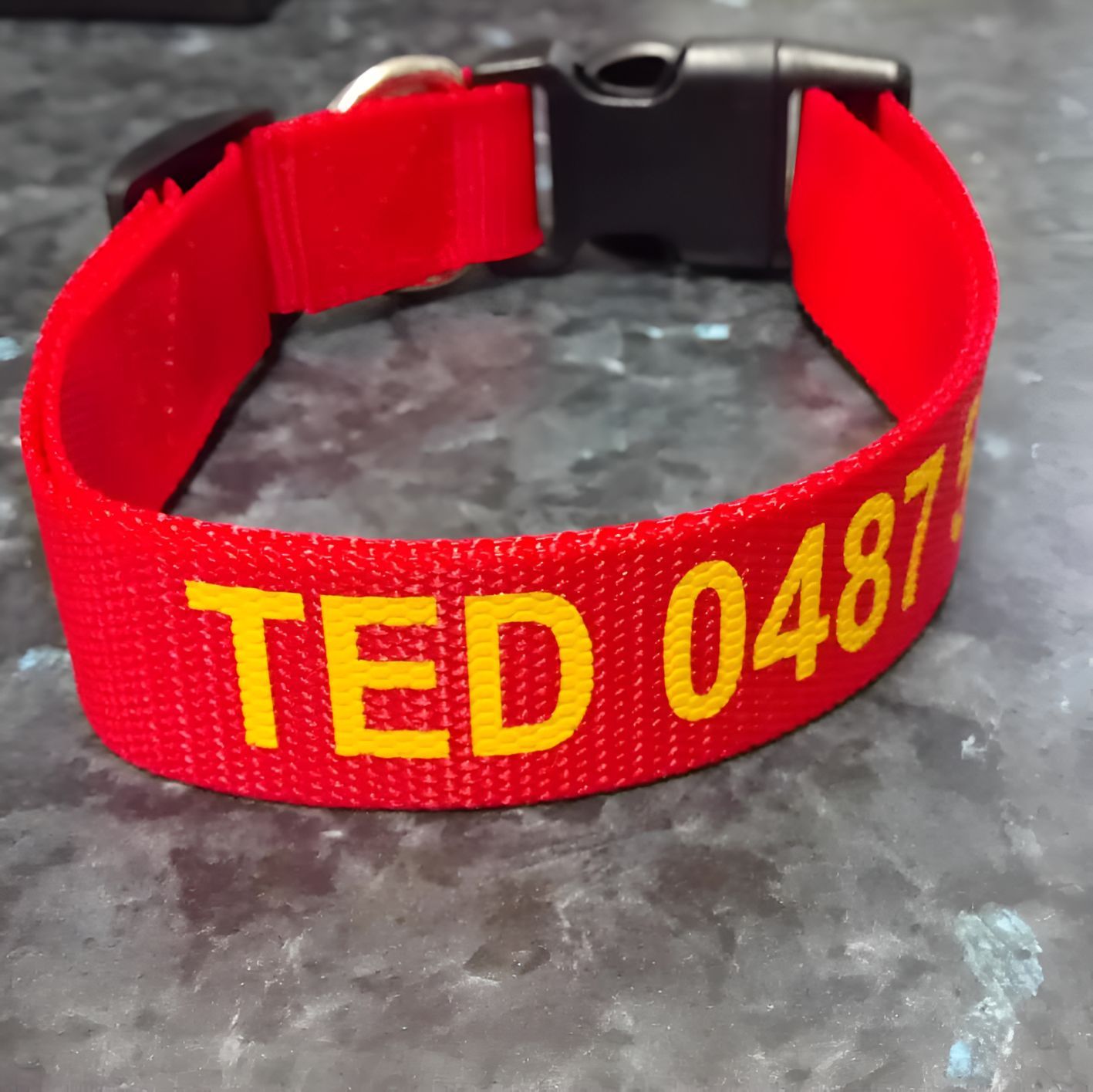 A Red Dog Collar With the Name Ted Embroidered on It — Central West Trophies & Embroidery In Orange, NSW