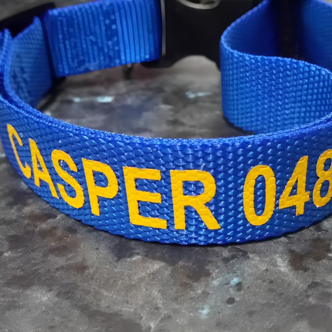 A Blue Collar With the Name Casper 048 on It — Central West Trophies & Embroidery In Orange, NSW