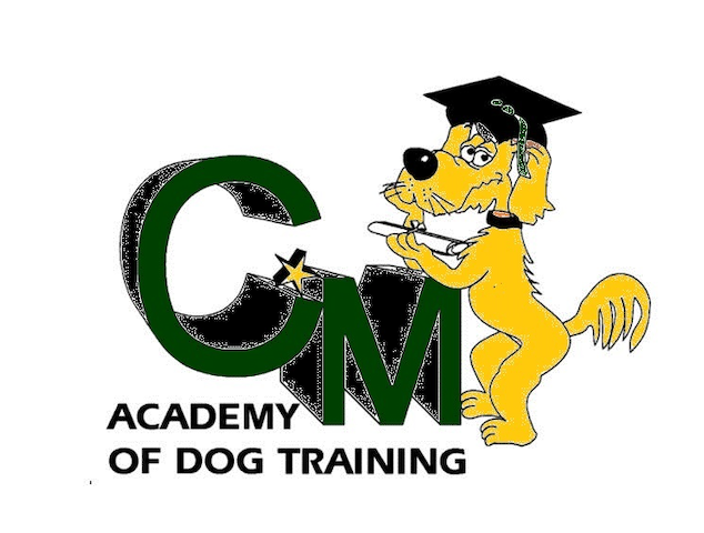 Logo: A yellow dog in a graduation cap holds a diploma next to the letters 