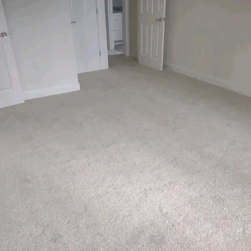 Empty room with light-colored carpet and white walls, two closed doors on the left, one open door in the background.