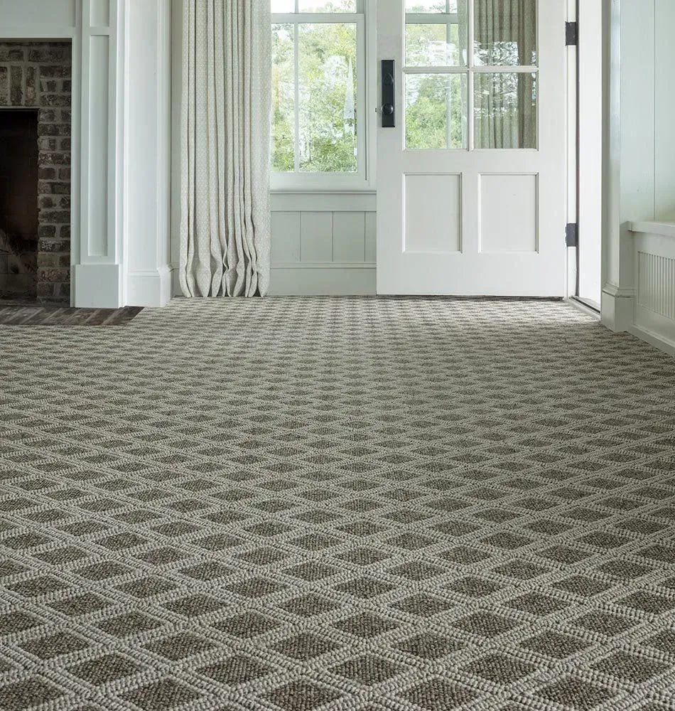 A room with patterned beige carpet. A white door and window with sunlight is visible.