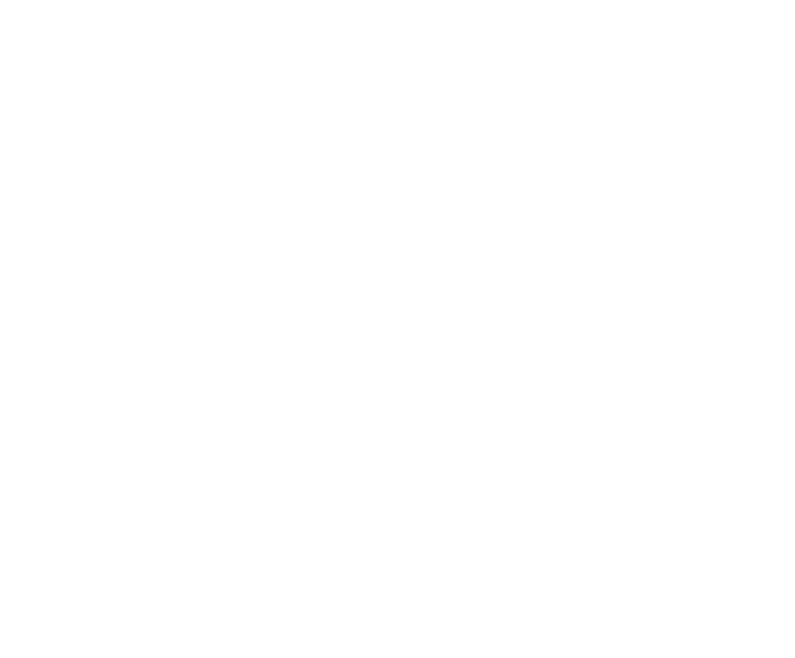 logo footer