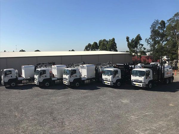 A row of white trucks are parked in a parking lot.