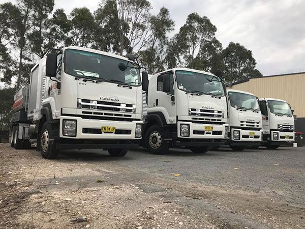 A row of white trucks are parked in a parking lot.