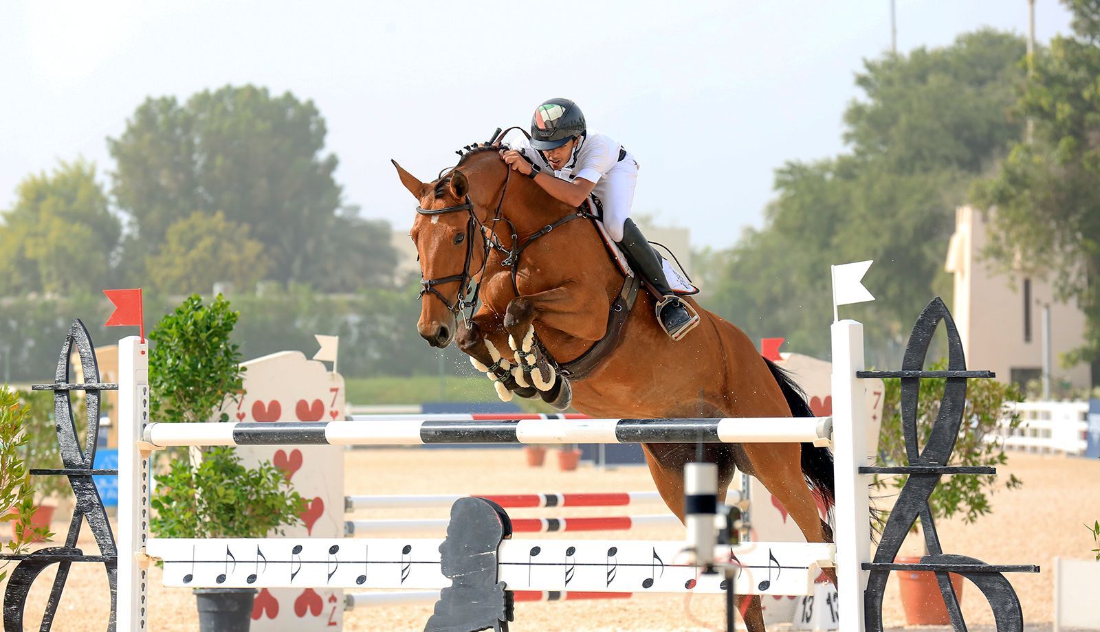 Rossi Shipping Ltd ATA Carnet specialists for horse show jumping export and import
