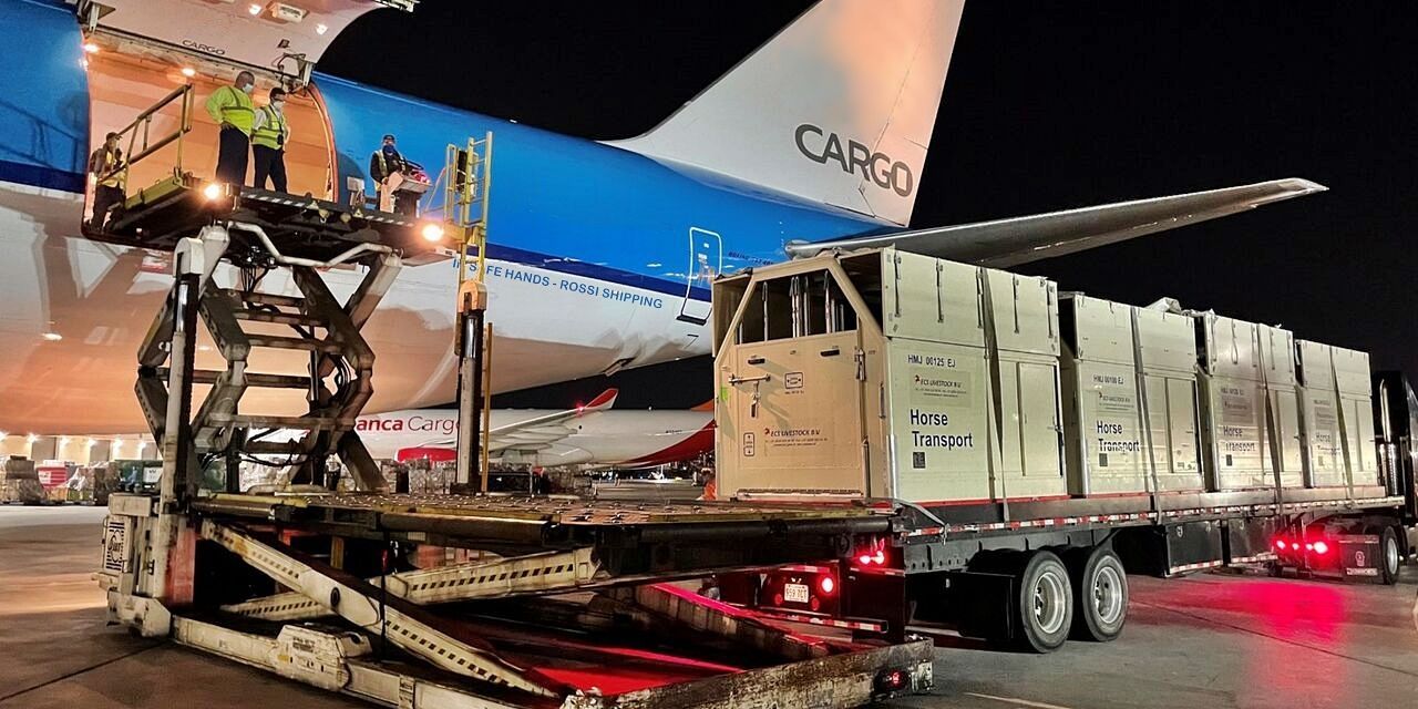 Rossi Shipping Ltd ATA Carnet specialists for pony export and import