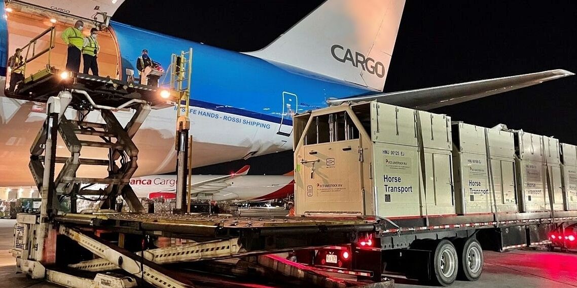 Rossi Shipping ATA Carnet Customs Specialists for horses