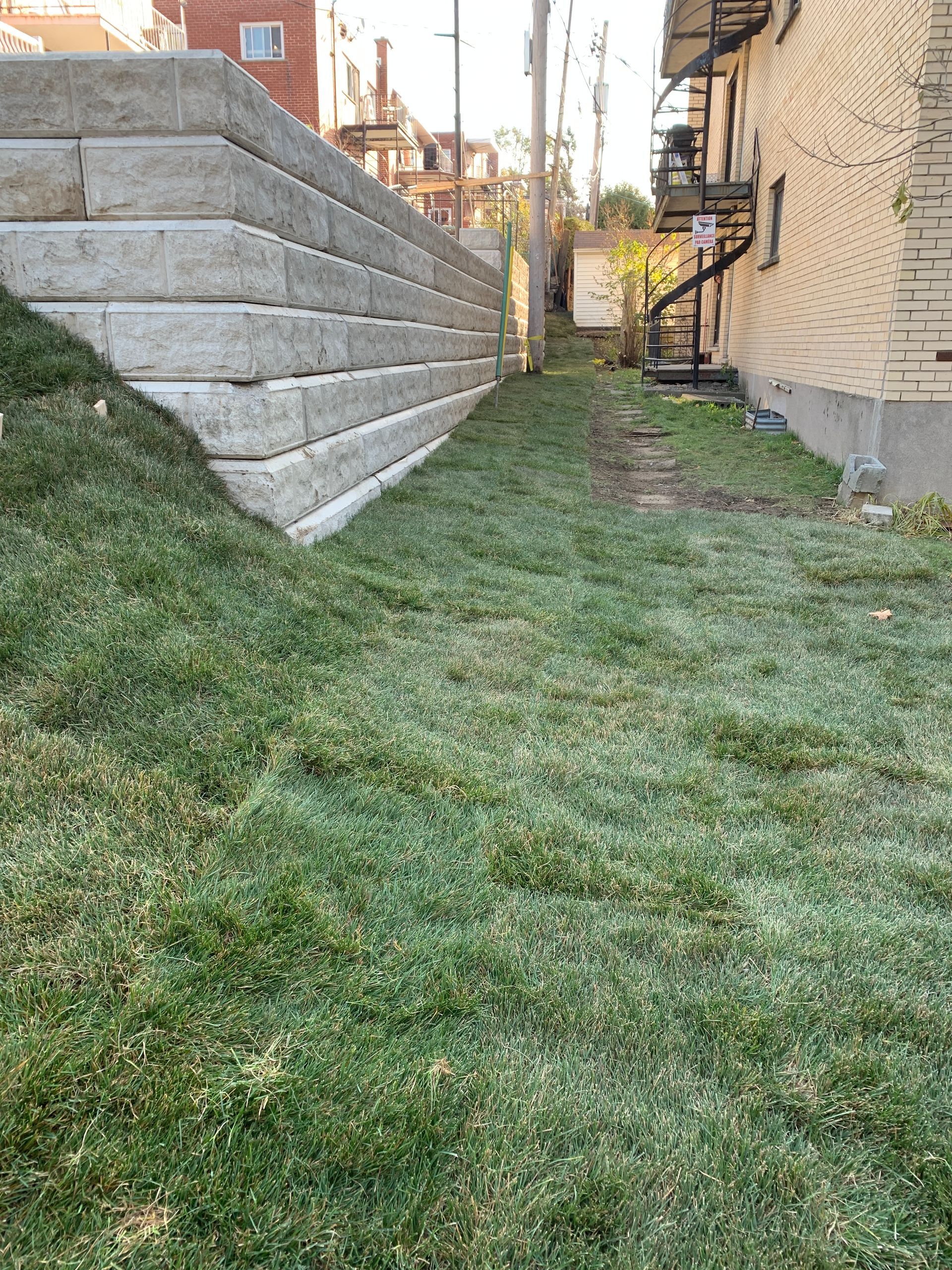 Un mur de briques est entouré d’herbe verte luxuriante à côté d’un bâtiment.