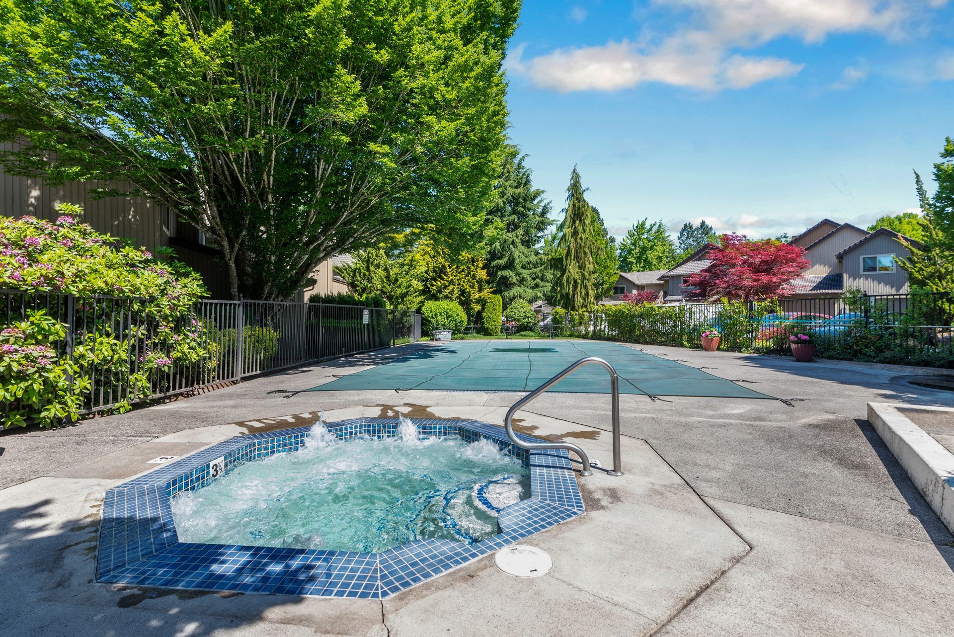 Backyard pool with hot tub, concrete deck, and lush green trees on a sunny day