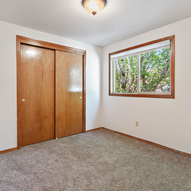 Empty carpeted bedroom with wood closet doors, white walls, and a window overlooking trees