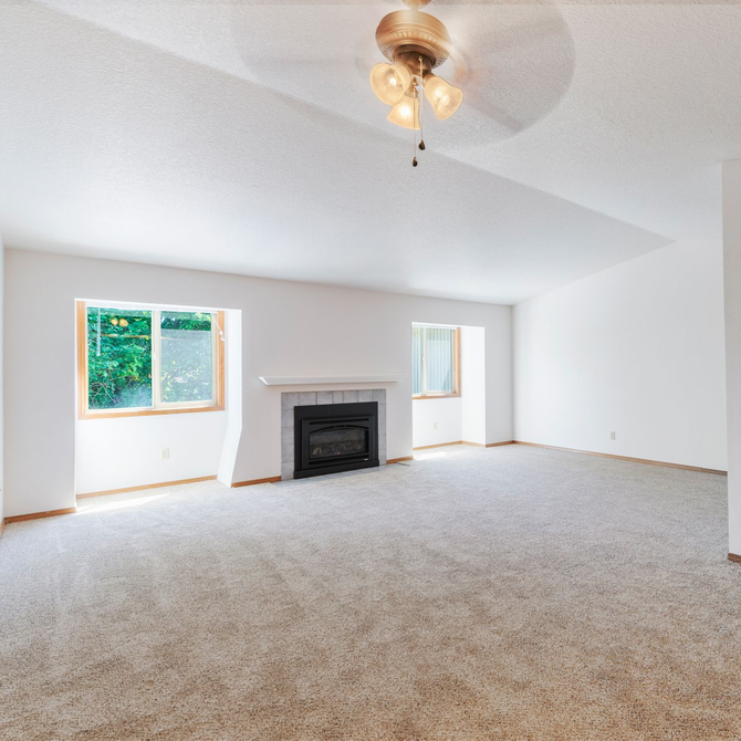 Bright empty living room with beige carpet, white walls, fireplace, and two windows.