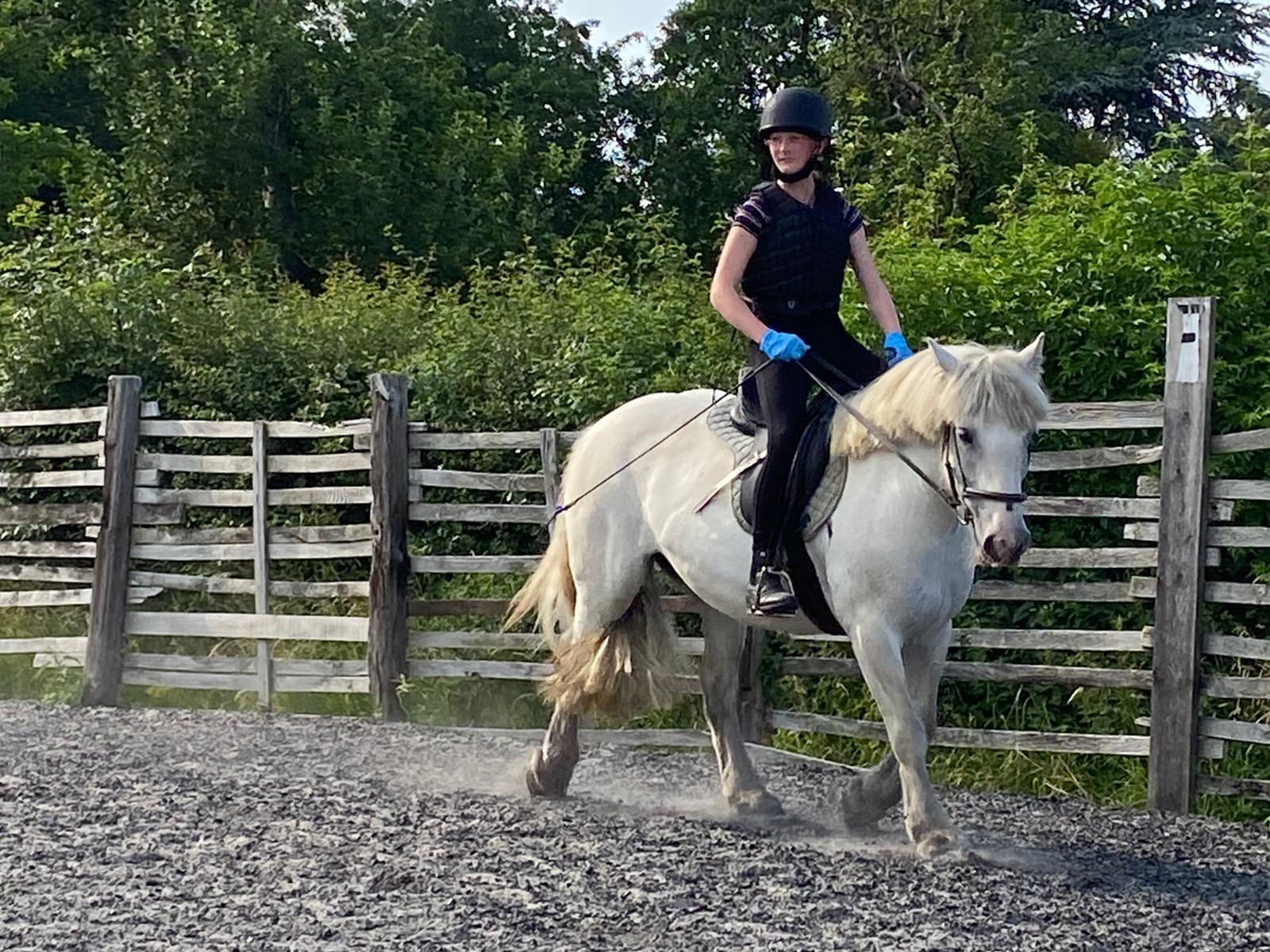 Engine Common Riding School Children's Horse Riding Lesson in Bristol & South Gloucestershire